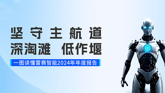 一图读懂星耀国际2024年度报告